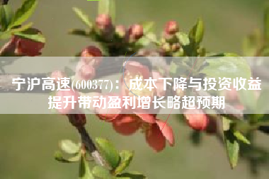 宁沪高速(600377)：成本下降与投资收益提升带动盈利增长略超预期