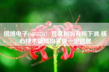 国博电子(688375)：营收利润有所下滑 核心技术领域均实现一定进展