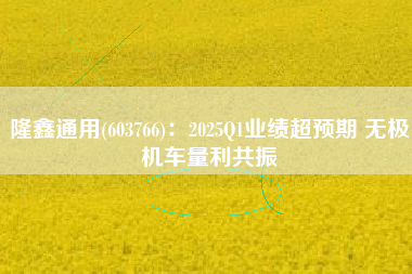 隆鑫通用(603766)：2025Q1业绩超预期 无极机车量利共振