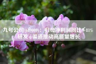 九号公司(689009)：归母净利润同比+81% 研发+渠道推动高质量增长