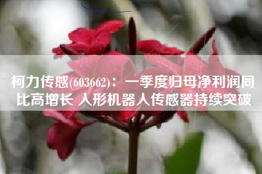 柯力传感(603662)：一季度归母净利润同比高增长 人形机器人传感器持续突破