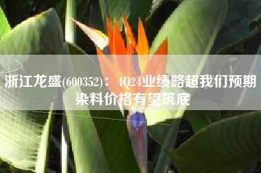 浙江龙盛(600352)：4Q24业绩略超我们预期 染料价格有望筑底