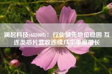 澜起科技(688008)：行业领先地位稳固 互连类芯片营收连续八个季度增长