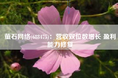 萤石网络(688475)：营收双位数增长 盈利能力修复