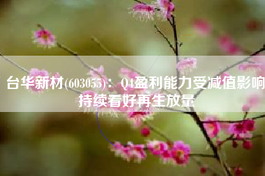 台华新材(603055)：Q4盈利能力受减值影响 持续看好再生放量