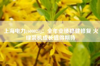 上海电力(600021)：全年业绩稳健修复 火绿装机成长值得期待