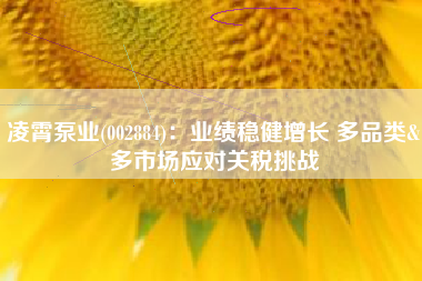 凌霄泵业(002884)：业绩稳健增长 多品类&多市场应对关税挑战