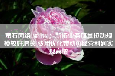 萤石网络(688475)：新拓业务放量拉动规模较好增长 费用优化带动Q1经营利润实现高增