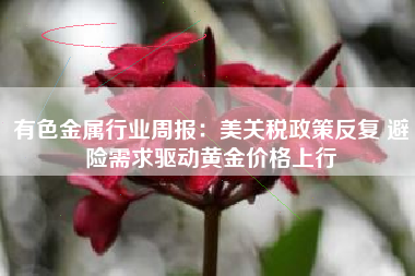 有色金属行业周报：美关税政策反复 避险需求驱动黄金价格上行