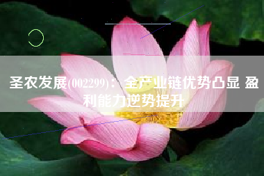圣农发展(002299)：全产业链优势凸显 盈利能力逆势提升