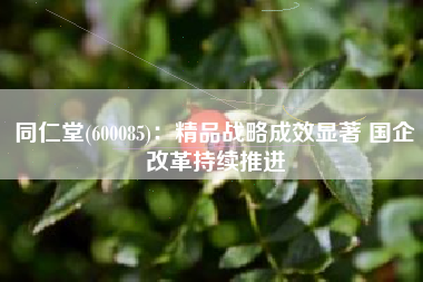 同仁堂(600085)：精品战略成效显著 国企改革持续推进