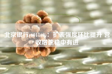 北京银行(601169)：扩表强度环比提升 营收增速稳中有进