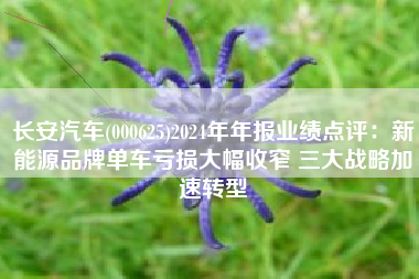 长安汽车(000625)2024年年报业绩点评：新能源品牌单车亏损大幅收窄 三大战略加速转型