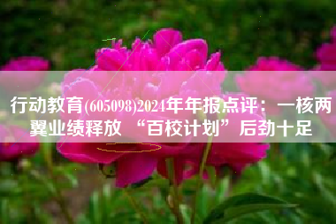 行动教育(605098)2024年年报点评：一核两翼业绩释放 “百校计划”后劲十足