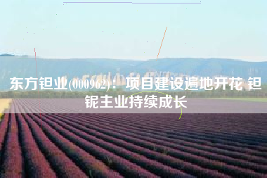 东方钽业(000962)：项目建设遍地开花 钽铌主业持续成长