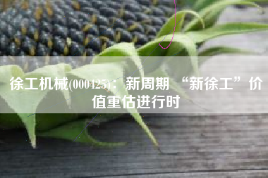 徐工机械(000425)：新周期 “新徐工”价值重估进行时