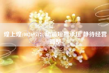 煌上煌(002695)：动销短期承压 静待经营调整