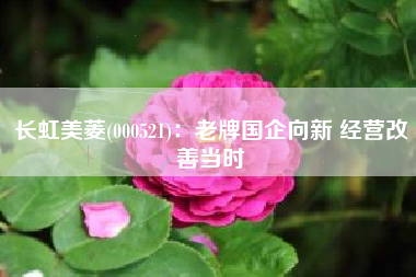 长虹美菱(000521)：老牌国企向新 经营改善当时