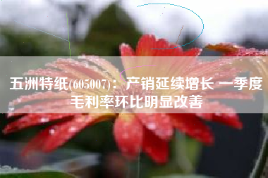 五洲特纸(605007)：产销延续增长 一季度毛利率环比明显改善