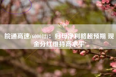 皖通高速(600012)：归母净利略超预期 现金分红维持高水平