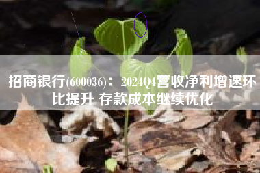 招商银行(600036)：2024Q4营收净利增速环比提升 存款成本继续优化