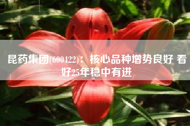 昆药集团(600422)：核心品种增势良好 看好25年稳中有进