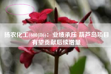 扬农化工(600486)：业绩承压 葫芦岛项目有望贡献后续增量