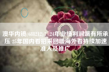 澳华内镜(688212)：24年业绩利润端有所承压 25年国内看招采回暖海外看持续加速准入及推广