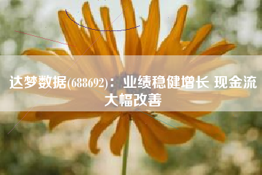 达梦数据(688692)：业绩稳健增长 现金流大幅改善