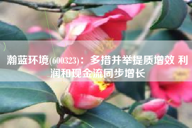 瀚蓝环境(600323)：多措并举提质增效 利润和现金流同步增长