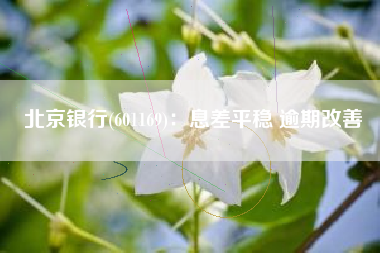 北京银行(601169)：息差平稳 逾期改善