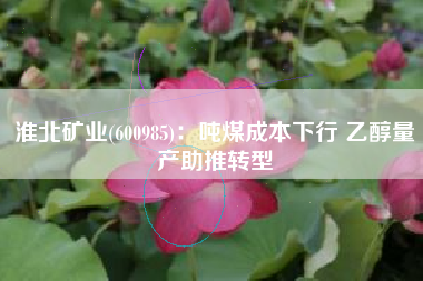 淮北矿业(600985)：吨煤成本下行 乙醇量产助推转型