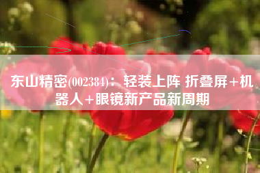 东山精密(002384)：轻装上阵 折叠屏+机器人+眼镜新产品新周期