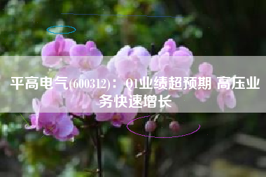 平高电气(600312)：Q1业绩超预期 高压业务快速增长