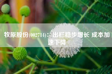 牧原股份(002714)：出栏稳步增长 成本加速下降