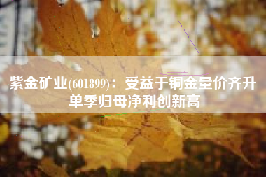 紫金矿业(601899)：受益于铜金量价齐升 单季归母净利创新高