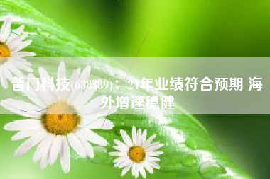 普门科技(688389)：24年业绩符合预期 海外增速稳健