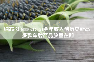 纳芯微(688052)：24全年收入创历史新高 多款车载产品放量在即