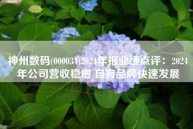 神州数码(000034)2024年报业绩点评：2024年公司营收稳增 自有品牌快速发展
