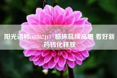 阳光诺和(688621)：临床延续高增 看好新药转化释放