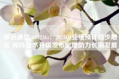 移远通信(603236)：2025Q1业绩预计稳步增长 保持技术升级发布定增助力长期发展
