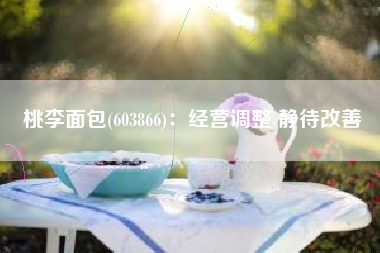 桃李面包(603866)：经营调整 静待改善