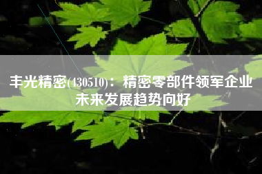 丰光精密(430510)：精密零部件领军企业 未来发展趋势向好