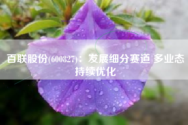 百联股份(600827)：发展细分赛道 多业态持续优化