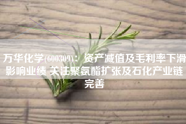 万华化学(600309)：资产减值及毛利率下滑影响业绩 关注聚氨酯扩张及石化产业链完善