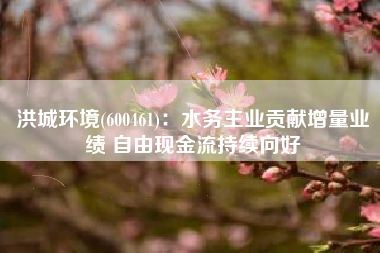 洪城环境(600461)：水务主业贡献增量业绩 自由现金流持续向好
