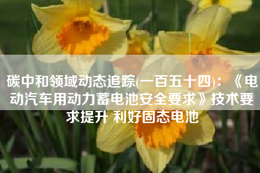 碳中和领域动态追踪(一百五十四)：《电动汽车用动力蓄电池安全要求》技术要求提升 利好固态电池