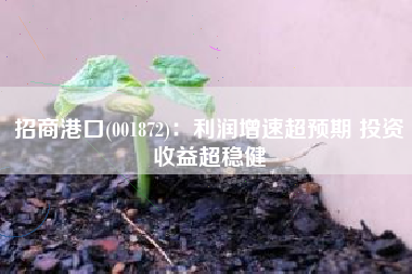 招商港口(001872)：利润增速超预期 投资收益超稳健
