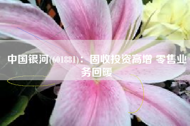 中国银河(601881)：固收投资高增 零售业务回暖
