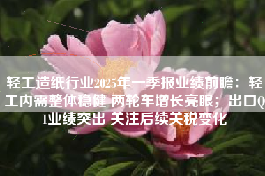轻工造纸行业2025年一季报业绩前瞻：轻工内需整体稳健 两轮车增长亮眼；出口Q1业绩突出 关注后续关税变化